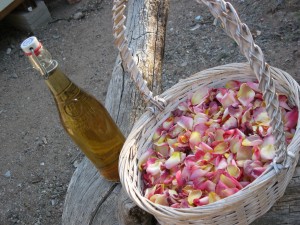rose petals and cactus rose wine